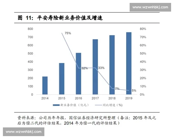 社会变革与塞尔塔发展之路的多维探讨与未来趋势分析